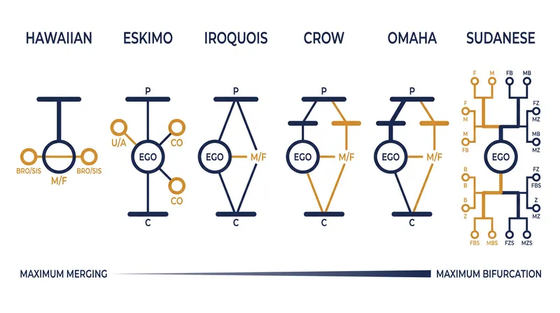 The structural spectrum of kinship categorization.