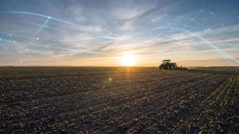 A large-scale agricultural field at dawn with a modern tractor in the distance.