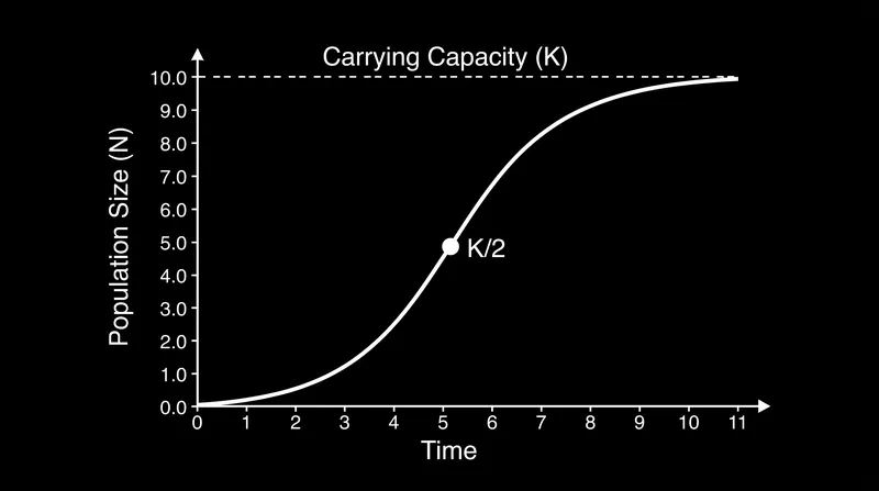 The S-curve demonstrates how population growth accelerates until the halfway point (K/2), then decelerates as it approaches carrying capacity (K).