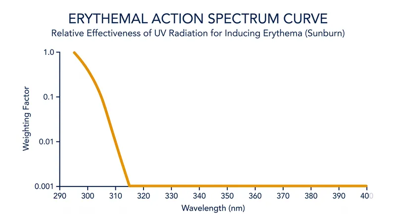 The Erythemal Action Spectrum heavily weights the shorter UVB wavelengths that cause sunburn.