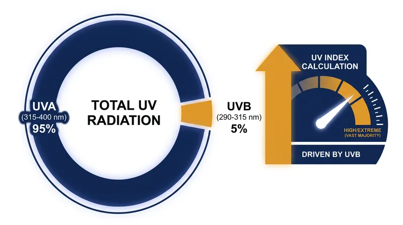 While UVA makes up 95% of the ultraviolet light reaching the beach, the UV Index is primarily driven by the 5% that is UVB.