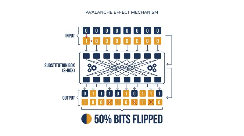 The Strict Avalanche Criterion requires exactly half of the output bits to flip when a single input bit is altered.
