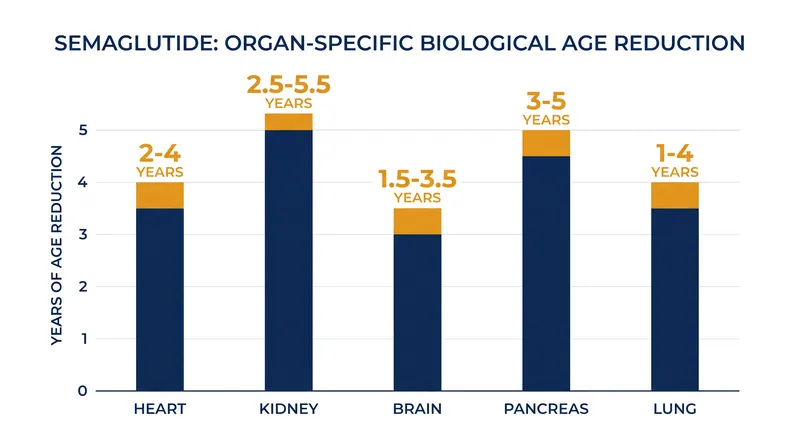 Proteomic data shows semaglutide reduces the biological age of major organs by up to four years.