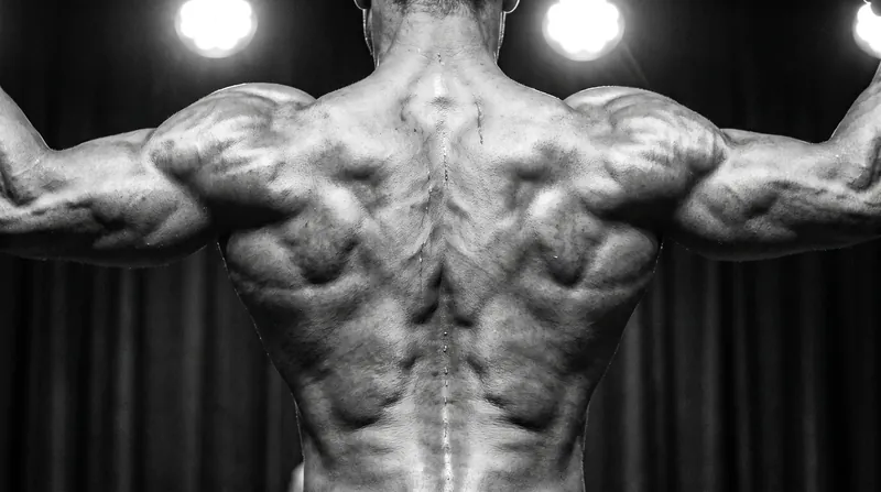 The judging panel consistently rewarded granular muscle detail and thin skin over overall scale weight.