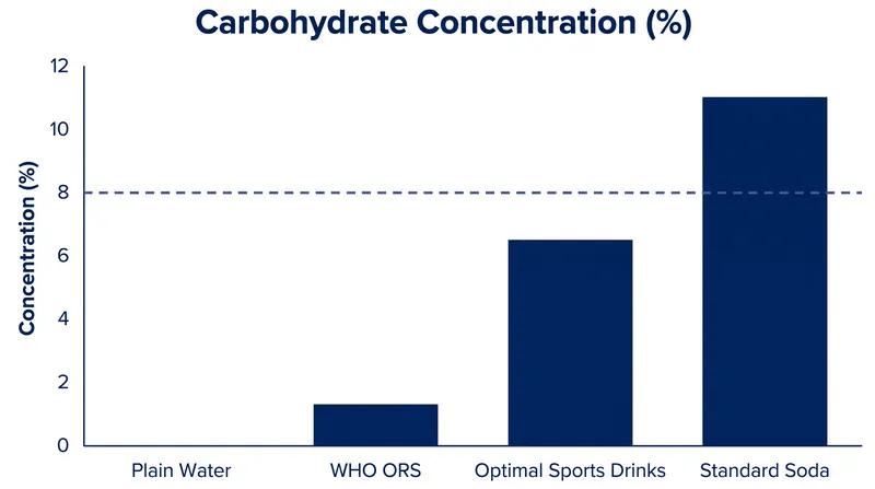 Fluids with carbohydrate concentrations above 8% delay gastric emptying and slow down rehydration.