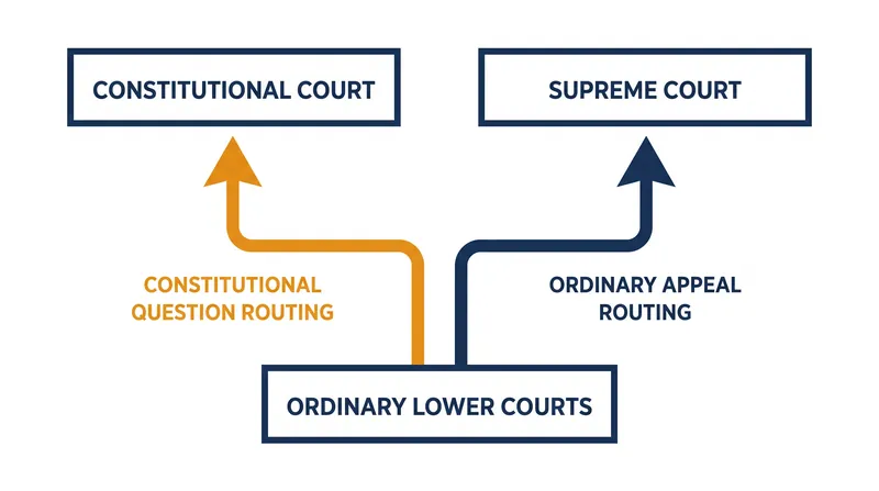 The dual-court structure separates constitutional review from ordinary appellate jurisdiction.