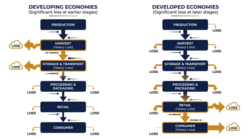 The geography of food loss inverts entirely depending on a nation's wealth.