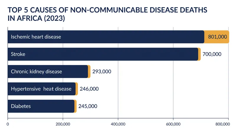 Ischemic heart disease and stroke now lead the non-communicable disease mortality burden across the African continent.