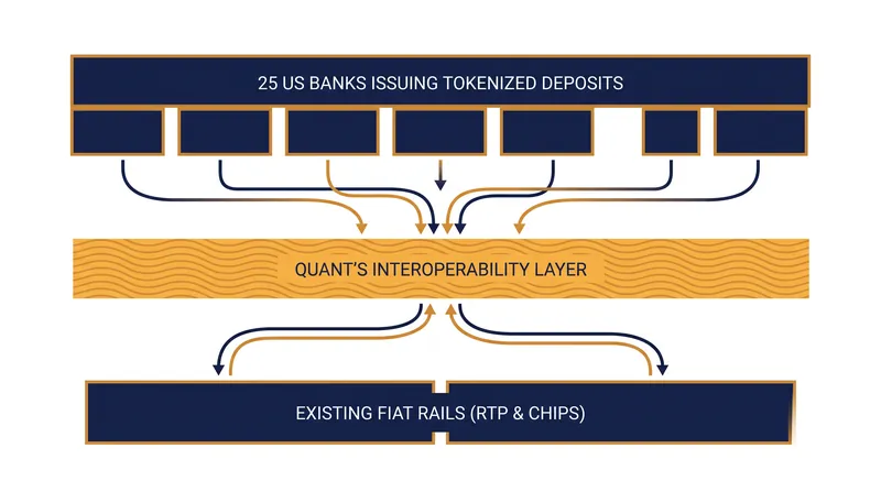 The network layers programmable transaction logic on top of existing RTP and CHIPS systems.
