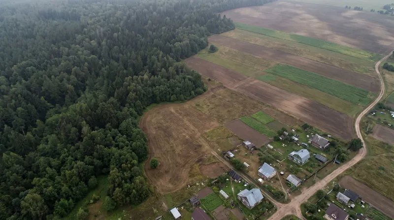 Aerial view showing a sharp boundary between a dense green forest and cleared agricultural land with small buildings.