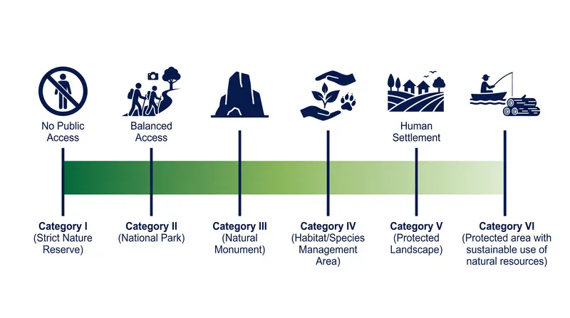 The IUCN classification system dictates exactly how much human interference a landscape can absorb.