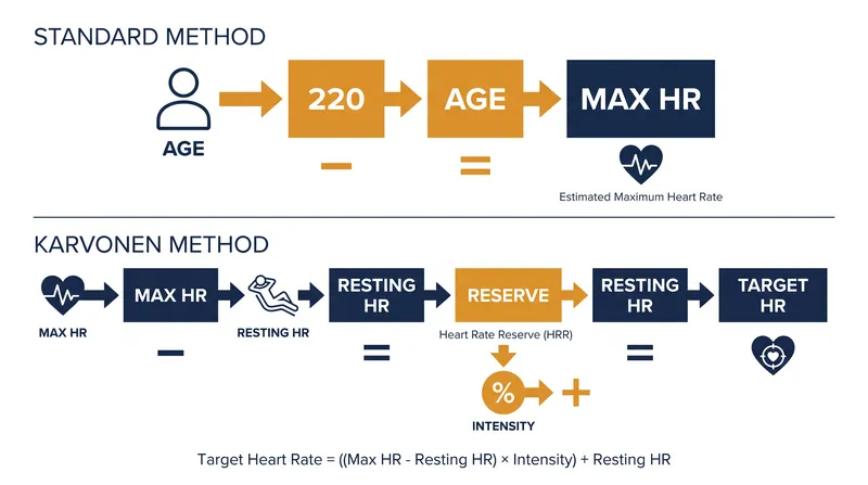 The Karvonen formula factors in the resting heart rate to find the heart's actual working reserve.