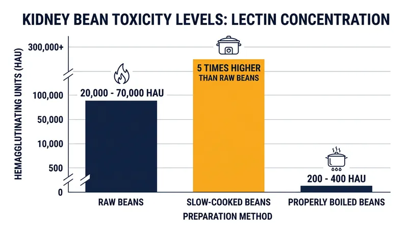 Slow-cooking kidney beans at 80°C actively multiplies their toxicity compared to eating them raw.
