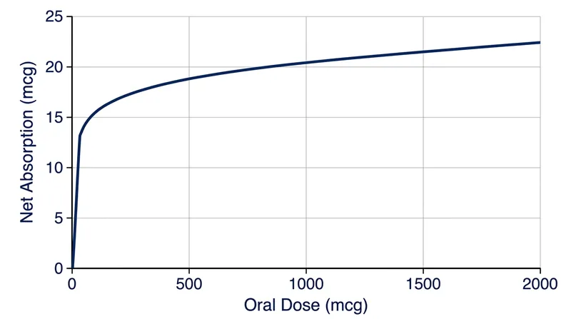 Once the 2-microgram active transport limit is reached, absorption relies entirely on the 1 percent passive diffusion rate.