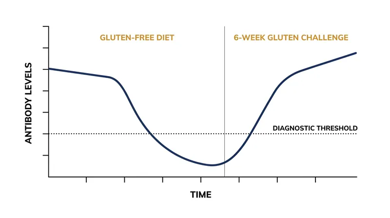 Antibody levels drop below diagnostic thresholds when a patient eliminates gluten, leading to false negative test results.
