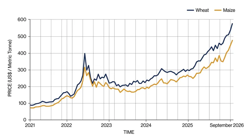 Global cereal prices surged in September 2026, with wheat and maize hitting multi-year highs.