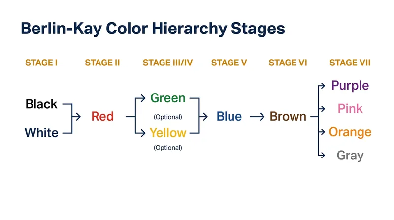 The Berlin-Kay hierarchy dictates the strict chronological order in which languages acquire basic color terms.