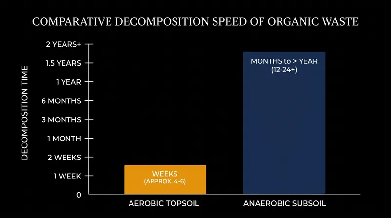 Deep burial places waste in an anaerobic environment, extending pathogen survival to over a year.