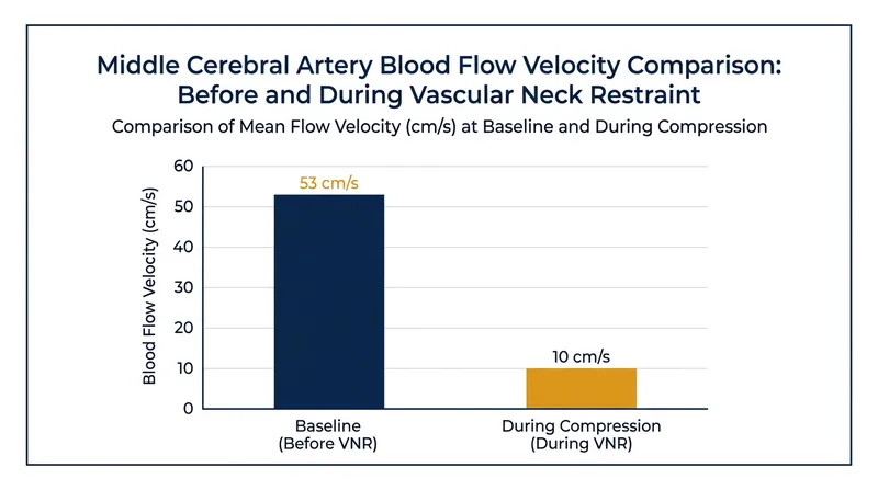 Middle cerebral artery blood flow velocity drops by over 80 percent during a properly applied vascular neck restraint.