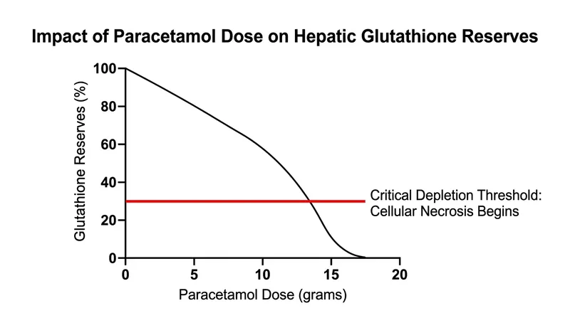 Liver injury does not occur immediately; it begins only after the organ's glutathione reserves drop below 30 percent of their normal capacity.
