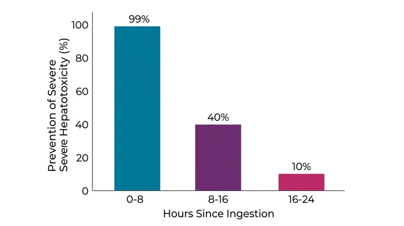 The eight-hour window is absolute: administering the antidote after this timeframe results in a sharp decline in its ability to prevent liver damage.