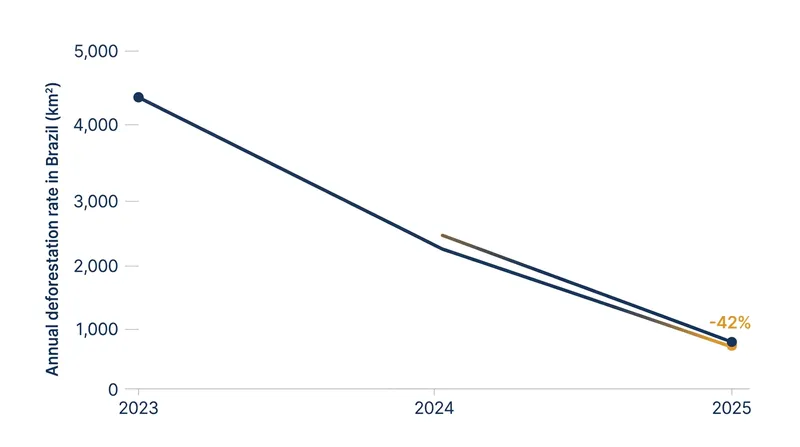Deforestation in the Brazilian Amazon declined by 42 percent between 2023 and 2025 under the Lula administration.