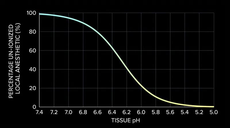 As tissue becomes more acidic, the proportion of lipid-soluble anesthetic available to cross the nerve membrane drops exponentially.