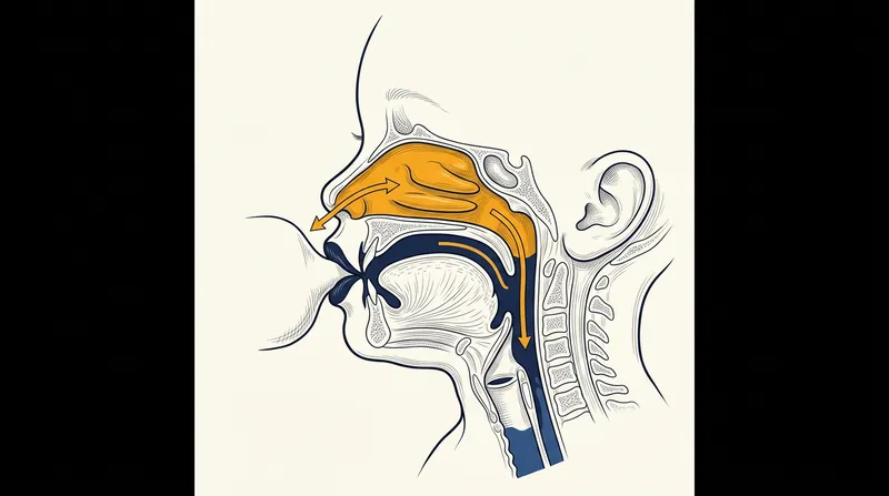 When an infant's lips are sealed during feeding, vocalizations are forced through the nasal passage, creating the continuous /m/ sound.