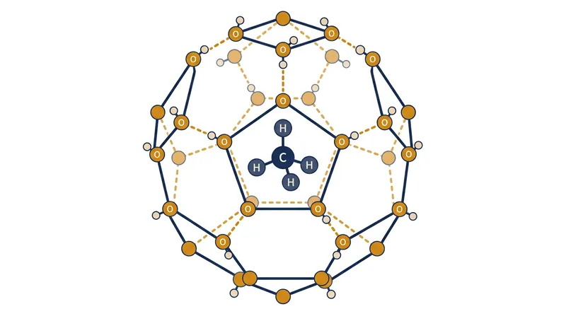 Water molecules form rigid solvation shells around nonpolar intruders to maintain their hydrogen-bonding network.