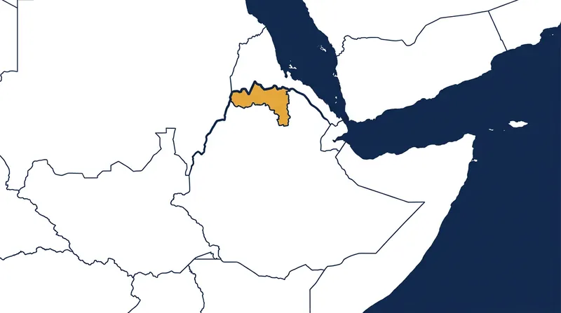 The renewed conflict in Tigray borders Eritrea and Sudan, raising fears of a wider regional proxy war.