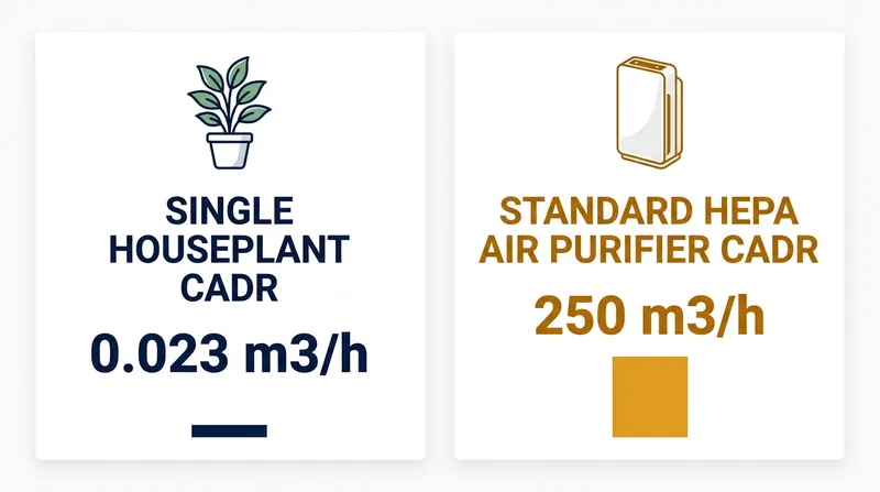 A single houseplant delivers a median of 0.023 cubic meters of clean air per hour, a fraction of mechanical filtration.
