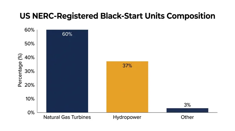 Natural gas turbines and hydroelectric facilities currently make up the vast majority of registered black-start resources in the United States.