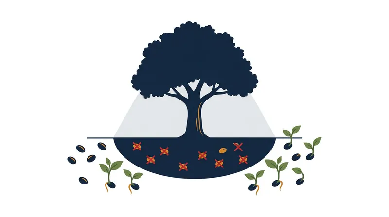 Host-specific pathogens accumulate beneath adult trees, creating an exclusion zone that kills genetically similar seedlings.