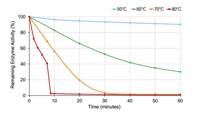 Bromelain loses almost all of its proteolytic activity after eight minutes at 80°C.