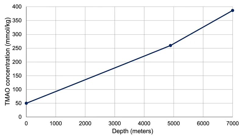 Bony fish accumulate higher concentrations of the chemical chaperone TMAO as they descend to greater depths.