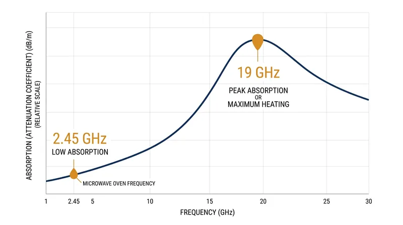 Water's dielectric loss peaks at 19 GHz, far above the 2.45 GHz frequency used by commercial ovens.