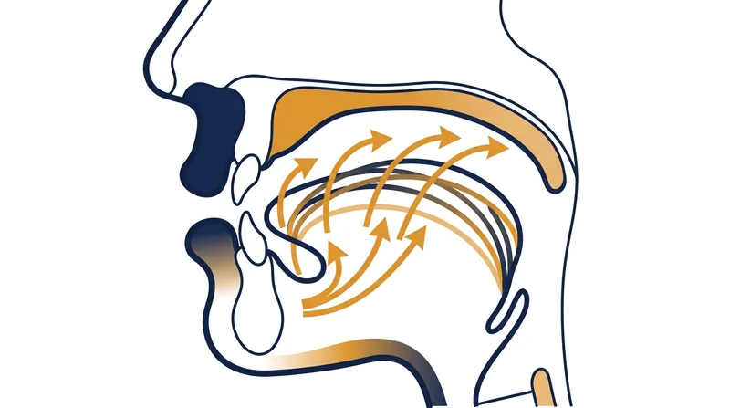 During the shift, the articulation of long vowels moved progressively higher in the mouth.