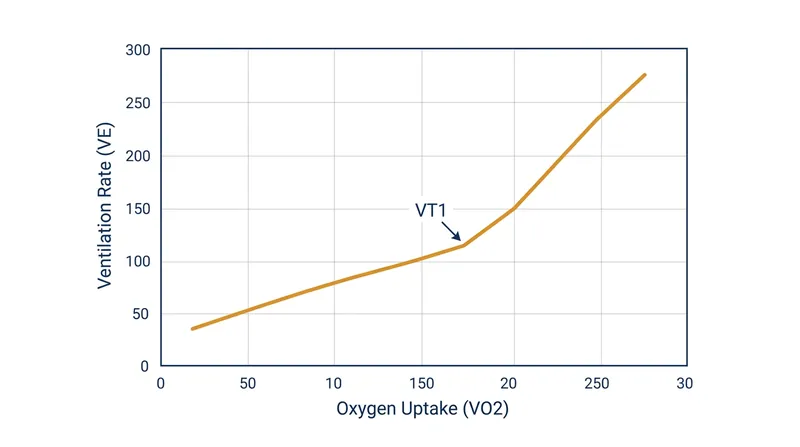 At the first ventilatory threshold, breathing rate decouples from oxygen demand to expel excess carbon dioxide.