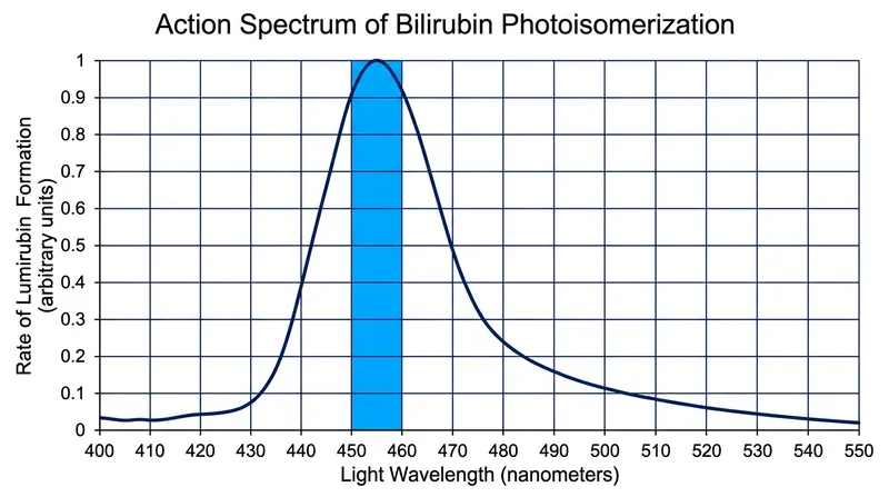 Bilirubin absorbs light most efficiently in the narrow 450-460 nanometer band, making other wavelengths medically ineffective.