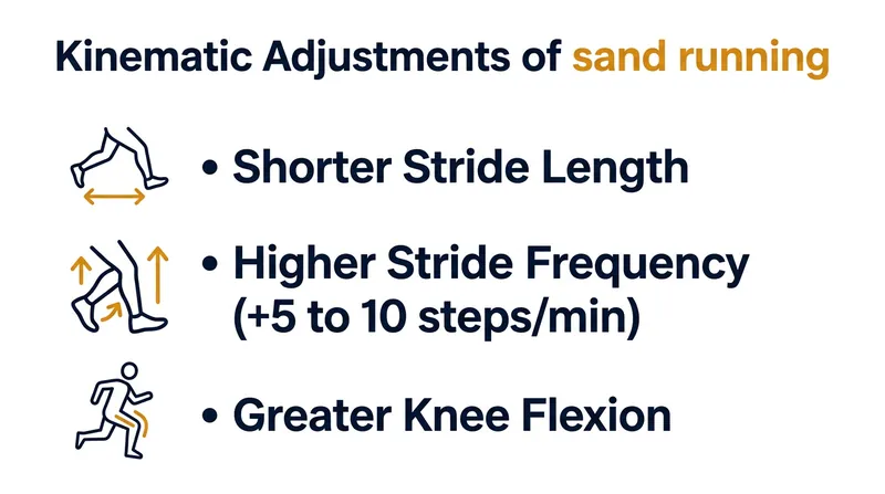 Runners naturally alter their kinematics to clear the shifting surface and avoid dragging their toes.