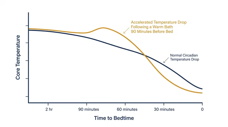 A warm bath 60 to 120 minutes before bed steepens the core temperature decline.