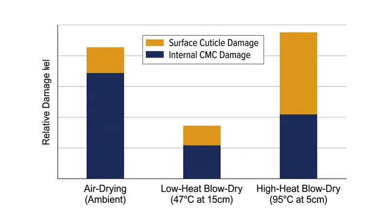 The 2011 Annals of Dermatology study revealed that low-heat drying minimizes total fiber stress.