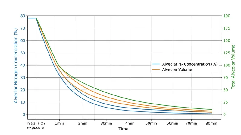 As capillary uptake of oxygen outpaces the inflow of fresh gas, the volume of the alveolus plummets.