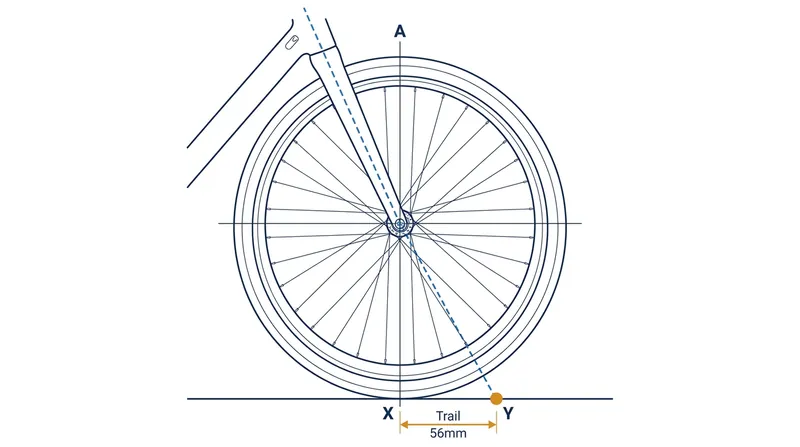 Positive trail drags the contact patch behind the steering axis, helping the wheel automatically turn into a lean.