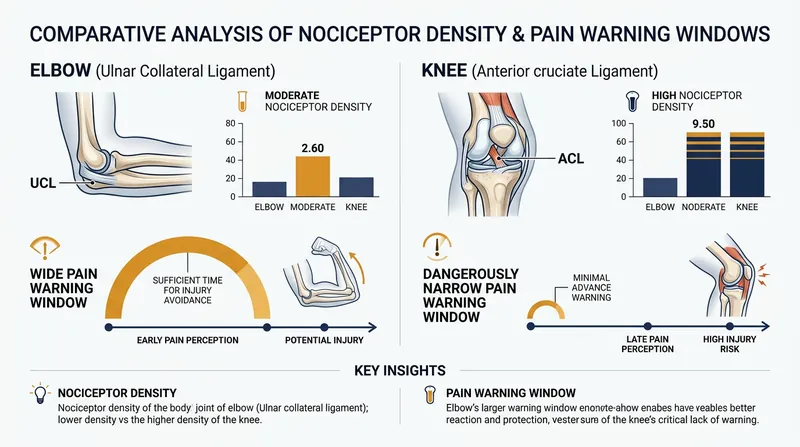 The knee's sparse rotational nociceptors create a dangerously narrow window between pain and structural failure.