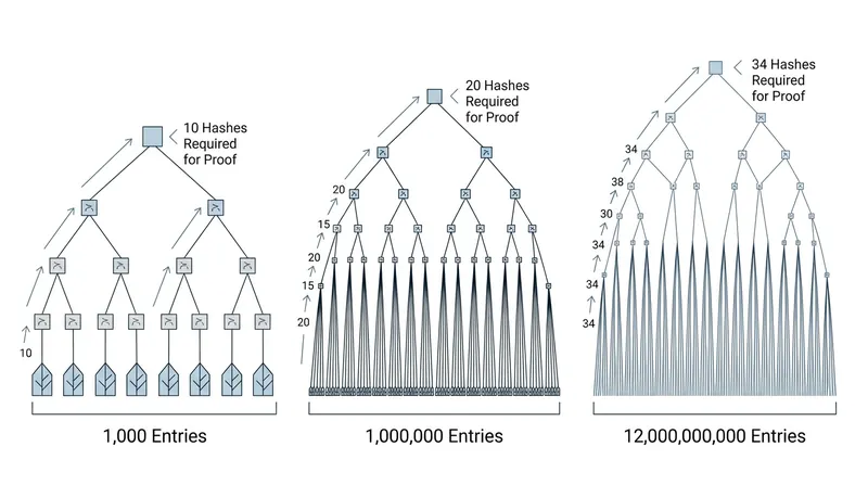 Because Merkle trees are binary, the computational cost of verifying a certificate grows logarithmically.