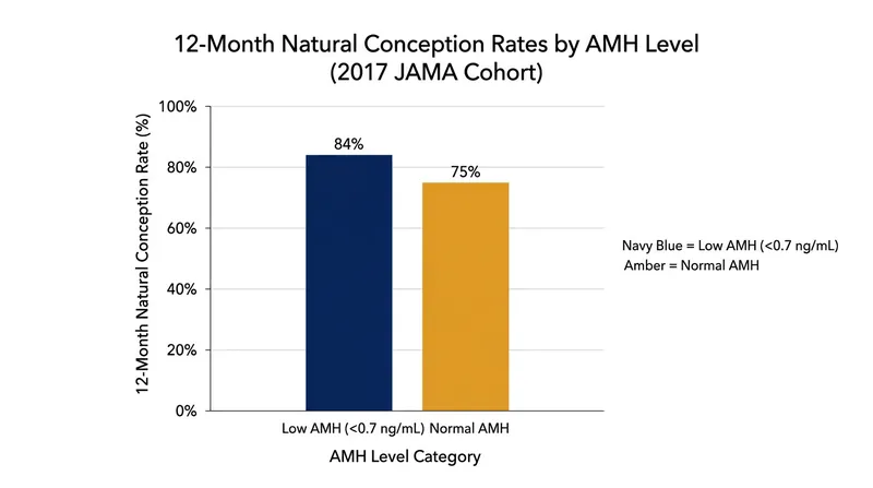 The 2017 JAMA cohort study demonstrated that a diminished ovarian reserve does not reduce the probability of unassisted conception over 12 months.