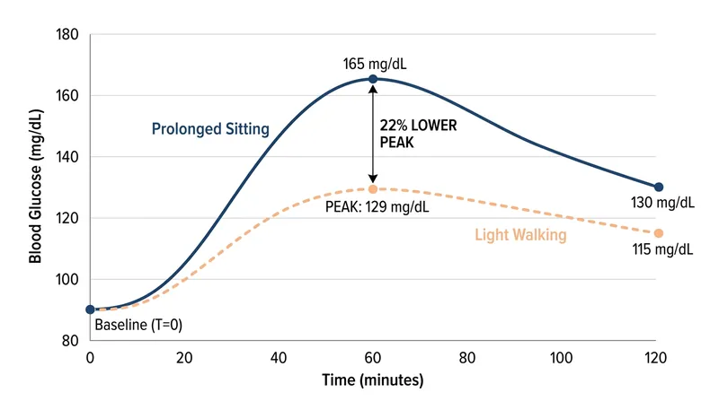 Light walking significantly blunts the post-meal glucose spike compared to remaining seated.