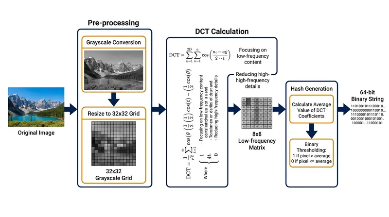 The pHash algorithm isolates the low-frequency structure of an image to create a robust 64-bit fingerprint.