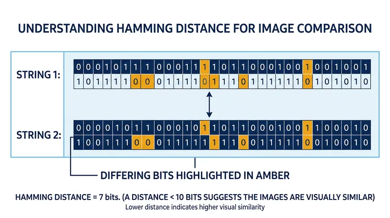 The Hamming distance measures the number of differing bits between two perceptual hashes.